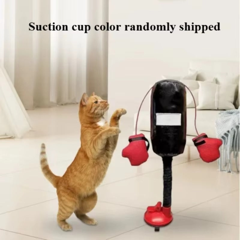 Kitty Knockout