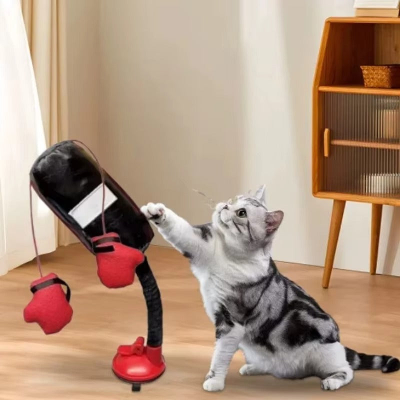 Kitty Knockout